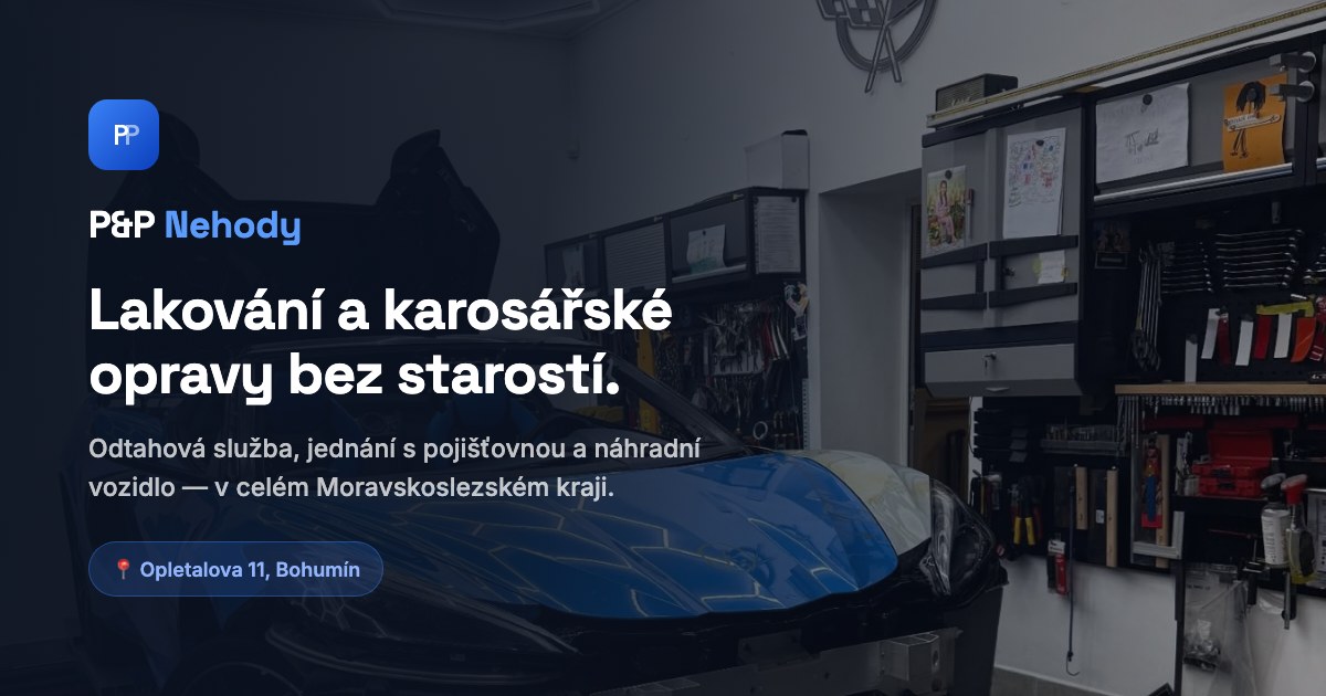 Náhled českého webu P&P Nehody